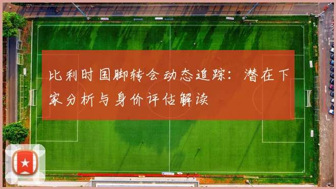 比利时国脚转会动态追踪:潜在下家分析与身价评估解读